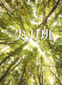 av不卡高清